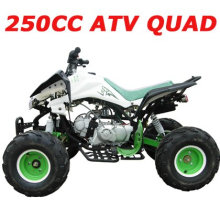 Vente des 250 000 marques gratuites atv à vendre